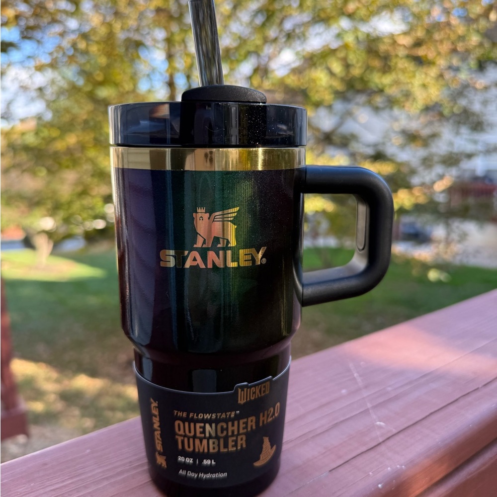 Stanley 20 oz Stainless Steel - WICKED Elphaba For Good Tumbler